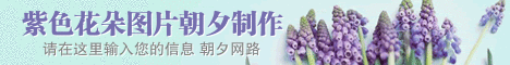 紫色花朵banner468*60图片制作 演示效果