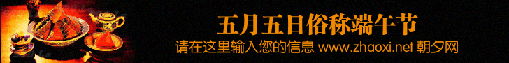 端午节粽子网站banner制作模板 演示效果