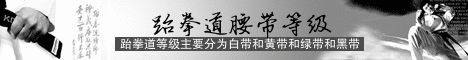 跆拳道腰带等级划分banner制作 演示效果