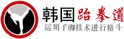 韩国跆拳道培训企业logo站标设计 演示效果