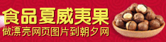 年终钜惠夏威夷果尝新banner设计 演示效果