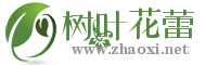 绿色树叶和花蕾logo站标设计和制作 演示效果