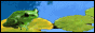 绿色荷叶上池塘青蛙logo在线制作gif图标 演示效果